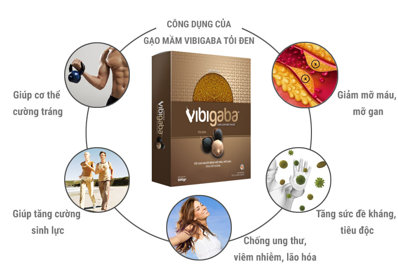 Gạo mầm Vibigaba Tỏi đen Lộc Trời