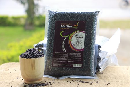 Lứt Tím ThaiBinh Seed