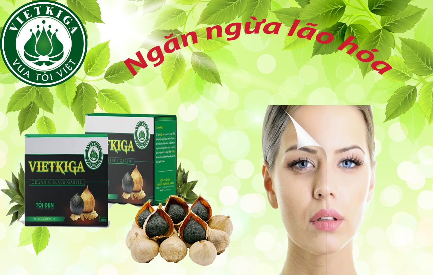 Tỏi Đen hộp 500gr Vietkiga - SP OCOP 4 Sao Hải Dương