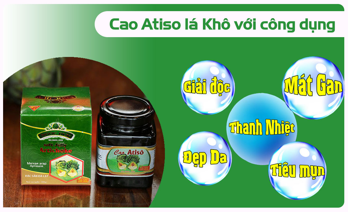 Cao Đặc Atiso Lá Khô Không Đường Ngọc Duy - Thanh Nhiệt, Giải Độc, Tăng Cường Chức Năng Gan