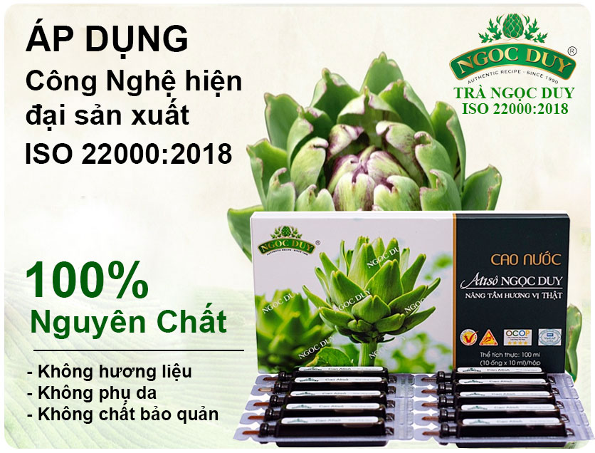 Cao Nước Atiso Đà Lạt Loại Đặc Biệt Ngọc Duy -Đảm Bảo Giữ Nguyên Được Hương Vị