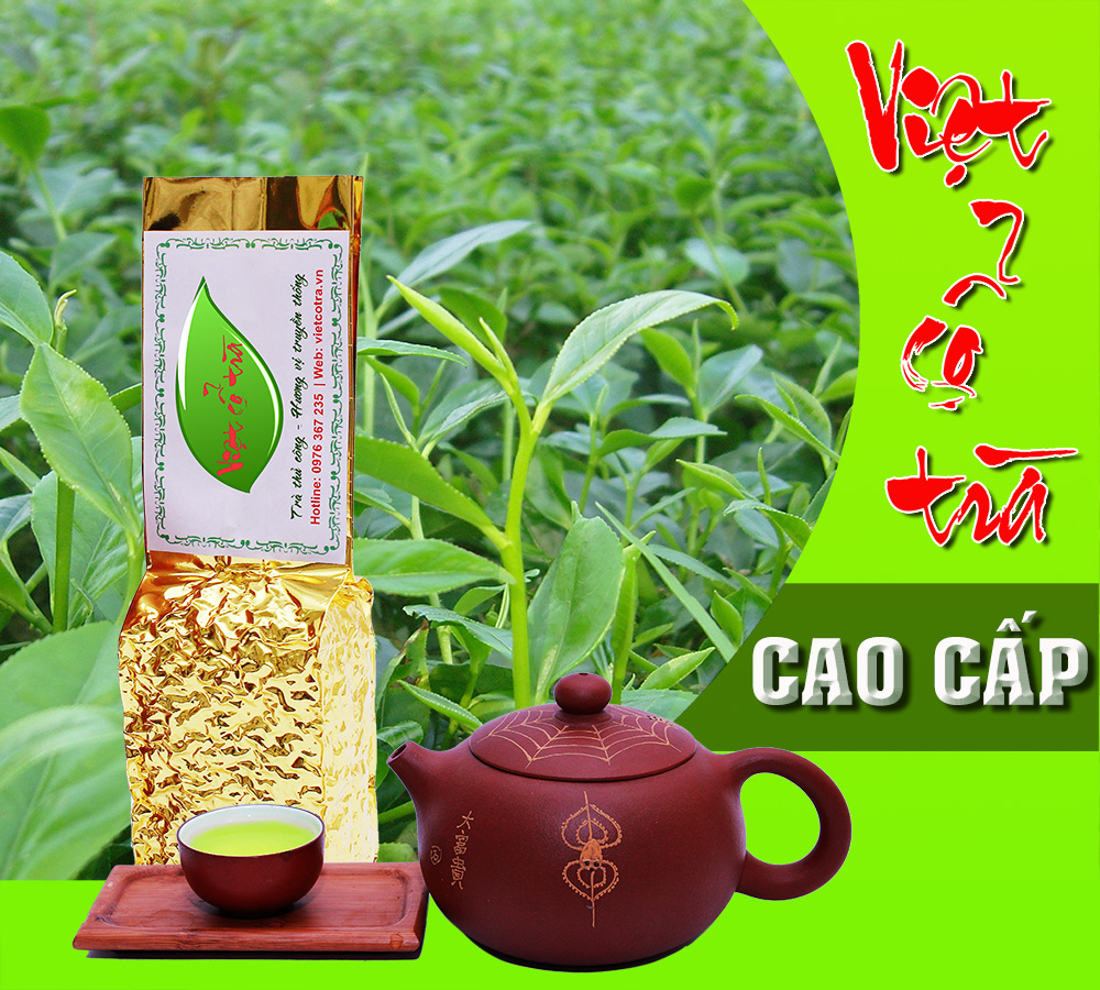 Việt Cổ Trà Cao Cấp - Trà móc câu Tân Cương, Thái Nguyên