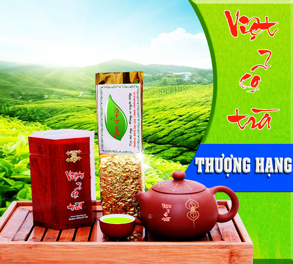 Việt Cổ Trà Thượng Hạng - Trà Nõn Tôm Tân Cương, Thái Nguyên