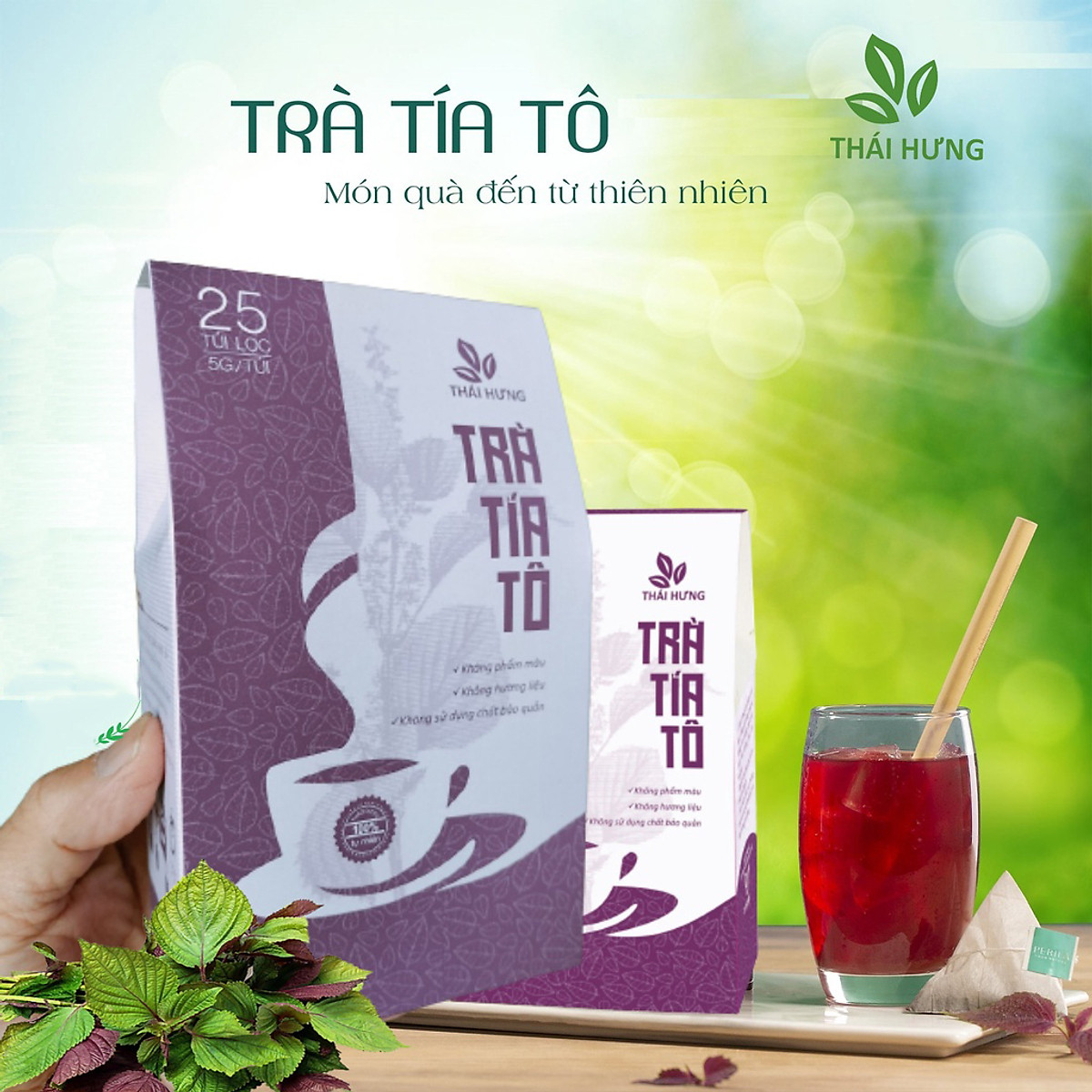 Trà Tía Tô Thái Hưng - Giảm Ho, Tiêu Đờm, Giải Cảm, Thanh Lọc Cơ Thể