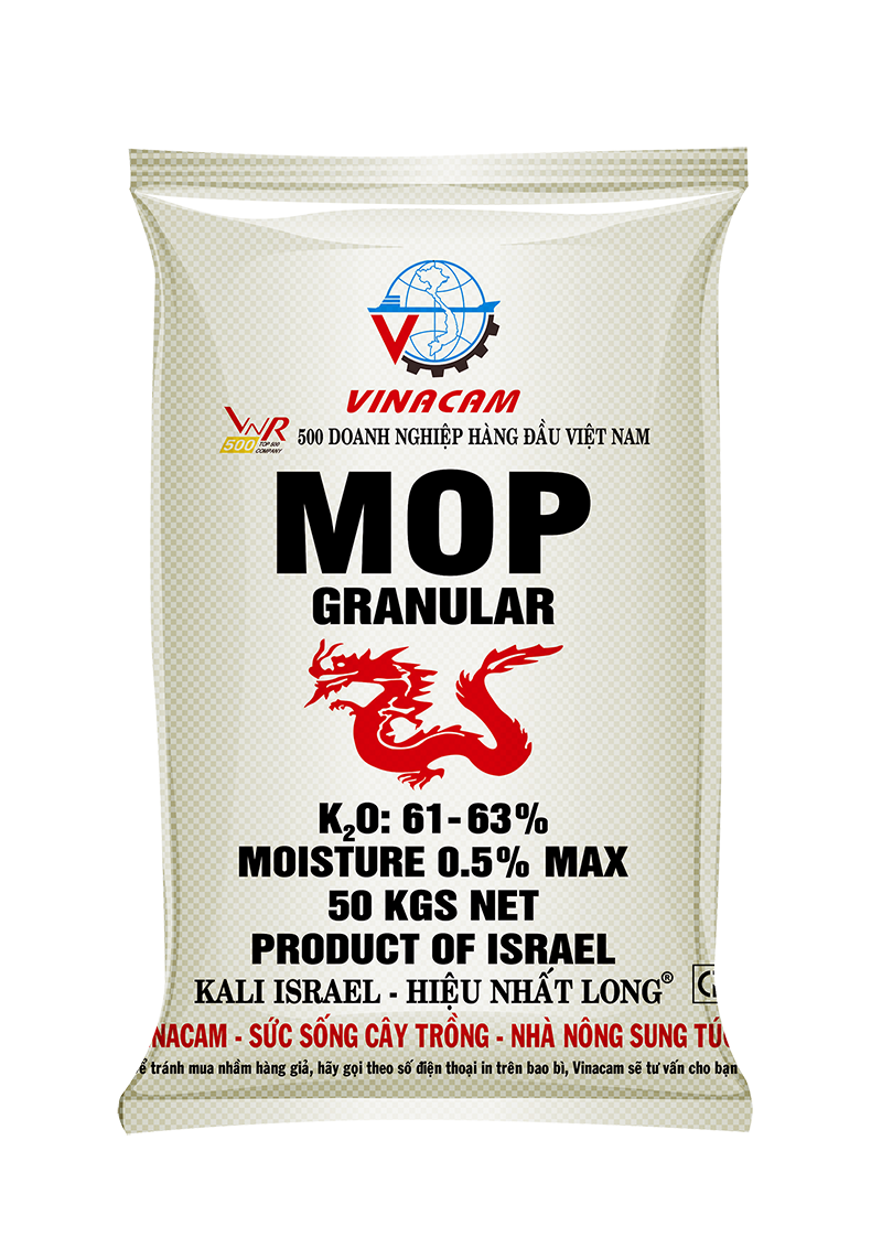 MOP Kali Israel Vinacam