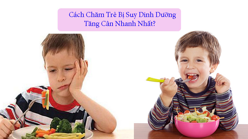 Cách chăm trẻ bị suy dinh dưỡng tăng cân nhanh nhất?