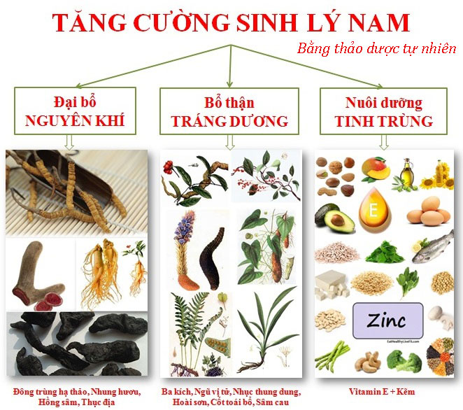 Cách chữa yếu sinh lý ở nam giới bằng thảo dược?