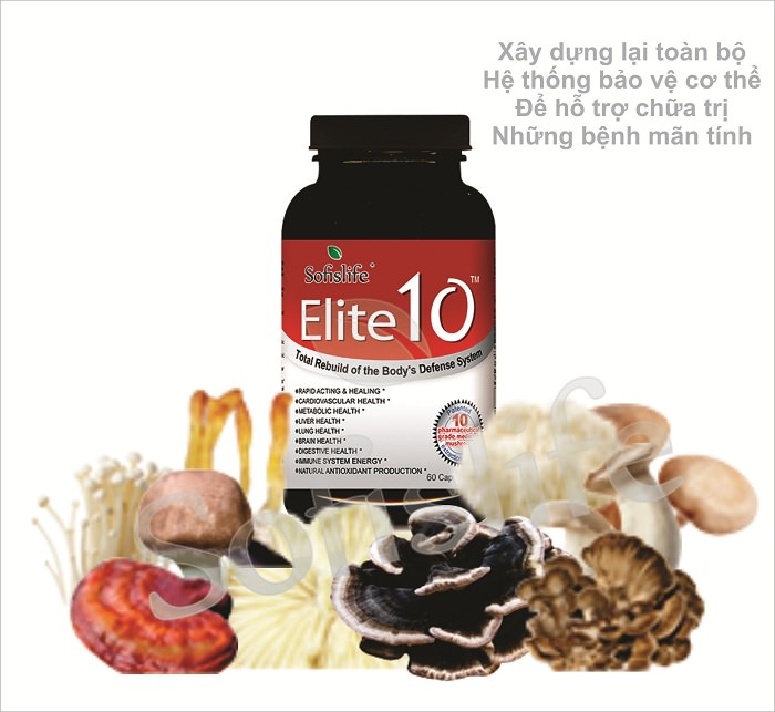 Elite 10 mua ở đâu, giá bao nhiêu, có tốt không?