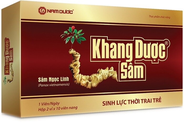 Thực phẩm chức năng Khang dược sâm