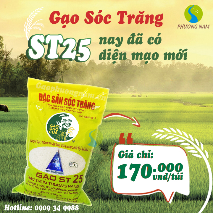 Gạo ST25 Chính Hãng