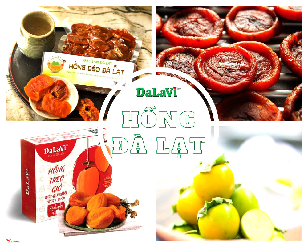 Hồng Tre Gió DaLaVi Chính Hãng