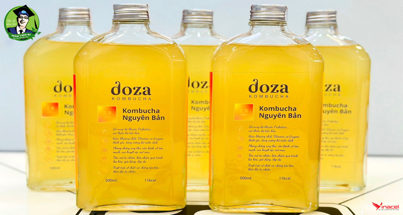 Trà Lên Men Doza Kombucha Đỗ Tiến Sĩ - Vị Cứu Tinh Của Đường Ruột