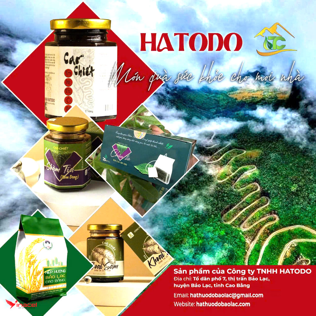 Trà Thảo Dược HATODO Chính Hãng