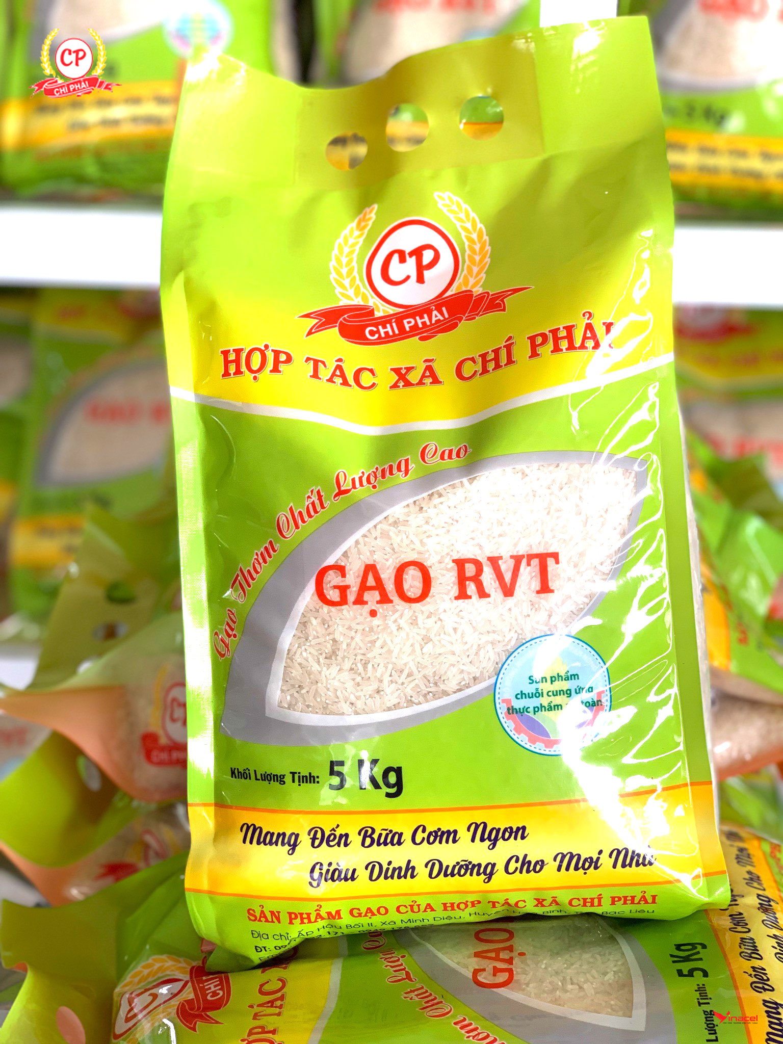 Gạo RVT Chí Phải Giá Sỉ