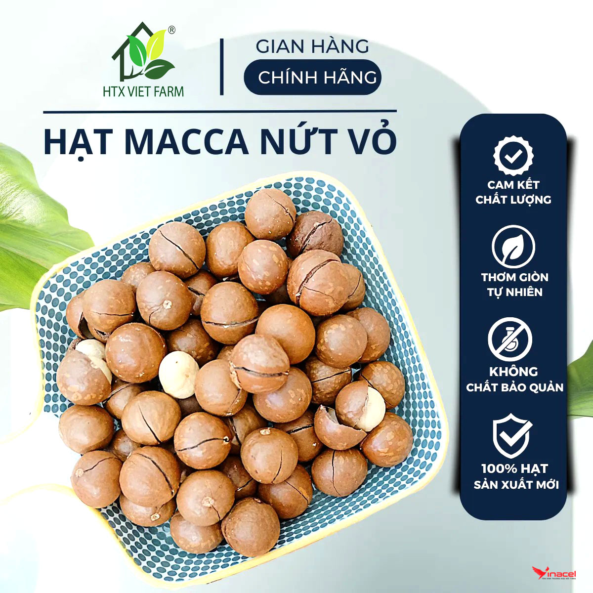 Hạt Macca Sấy Loại 1 VietFarm Đắk Lắk Chính Hãng