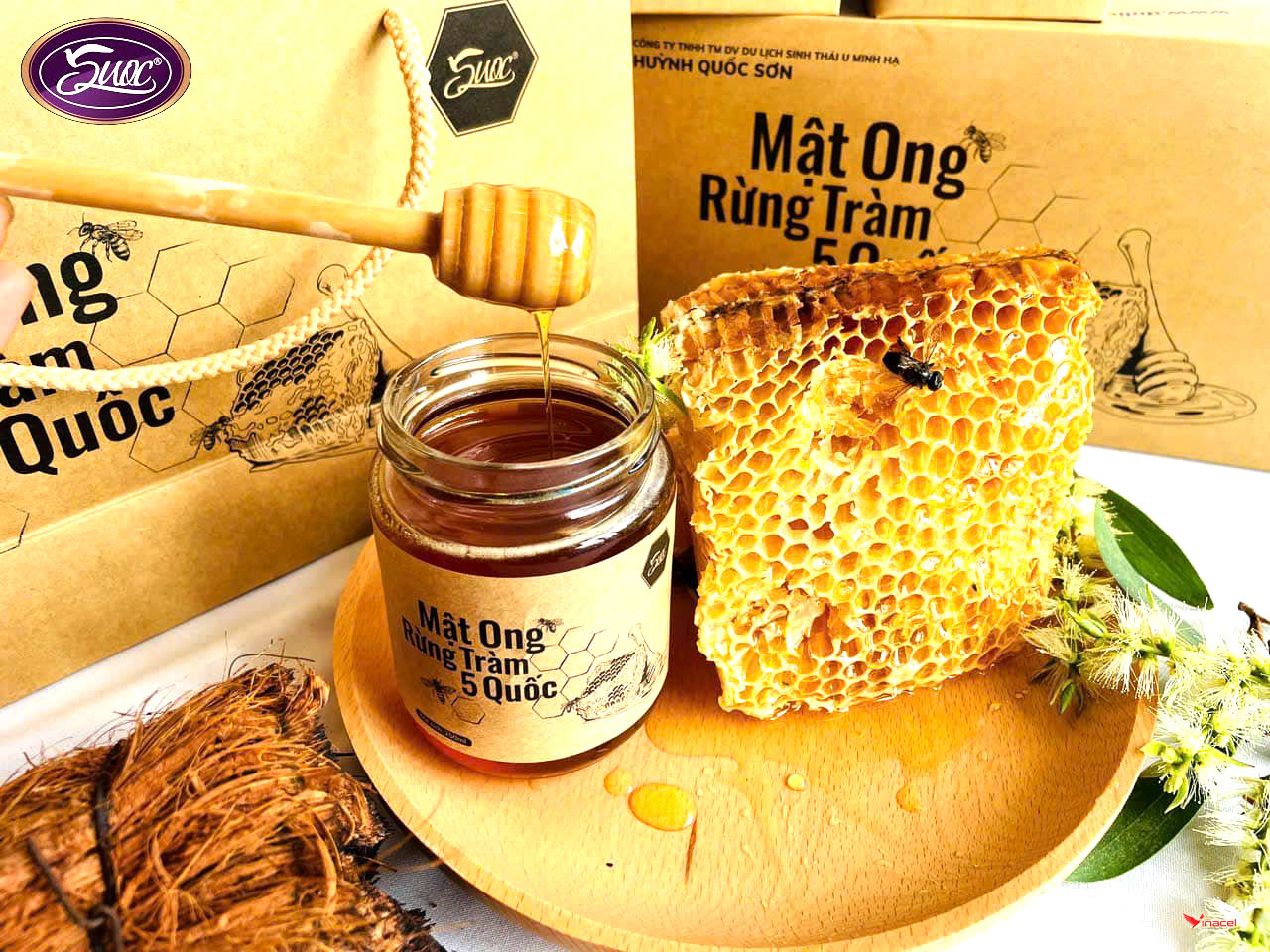 Mật Ong Rừng Tràm 5 Quốc Có Tốt Không?