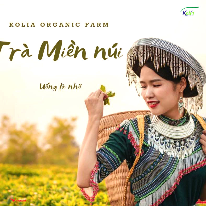 Trà Kolia Cao Bằng Chính Hãng