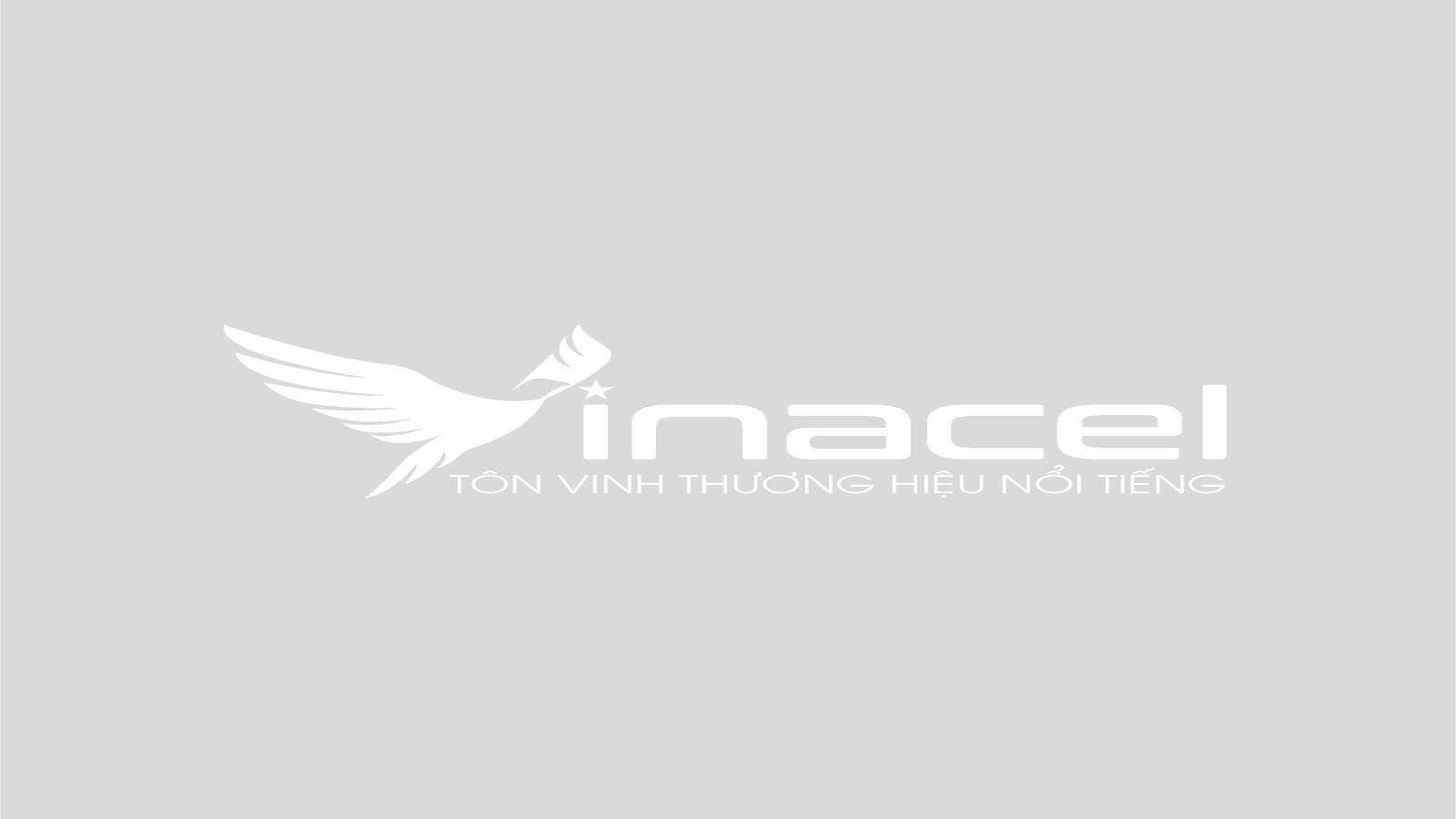 Vinacel - Tư Vấn Thiết Kế Website