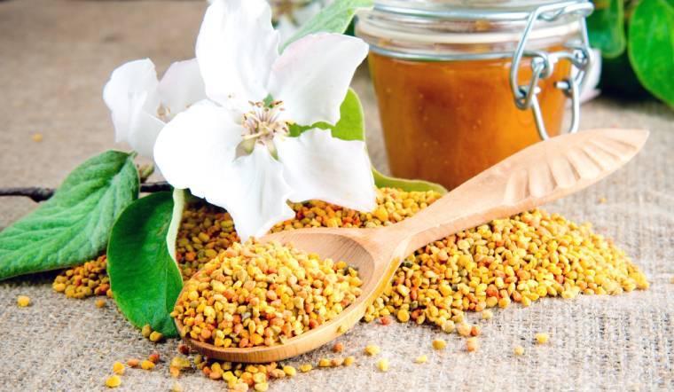 Phấn Hoa Ong Vhoney Mua Ở Đâu? Giá Bao Nhiêu? Có Tốt Không?