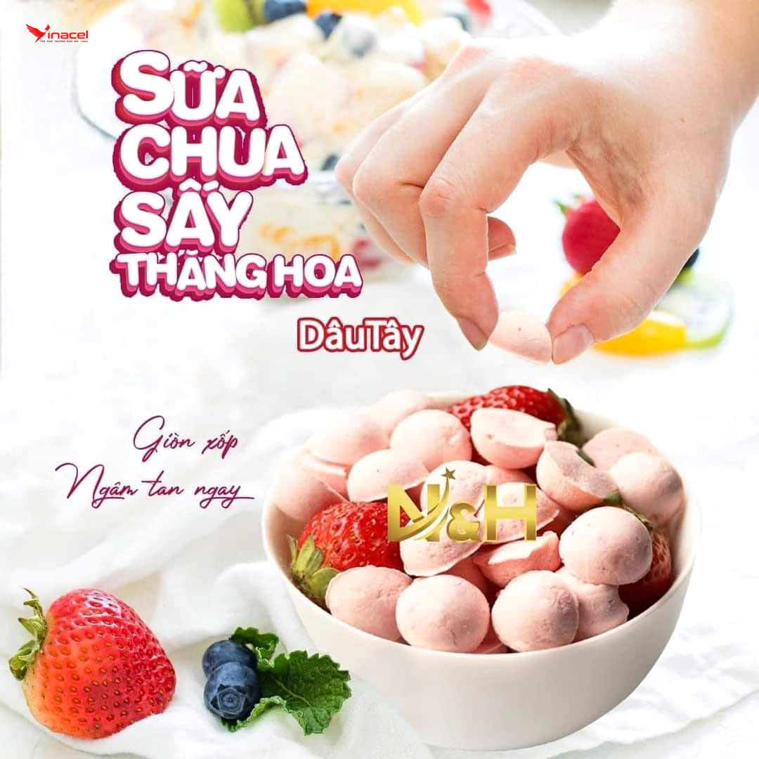 Sữa Chua Khô Dâu Tây N&H Đắk Lắk Giá Sỉ