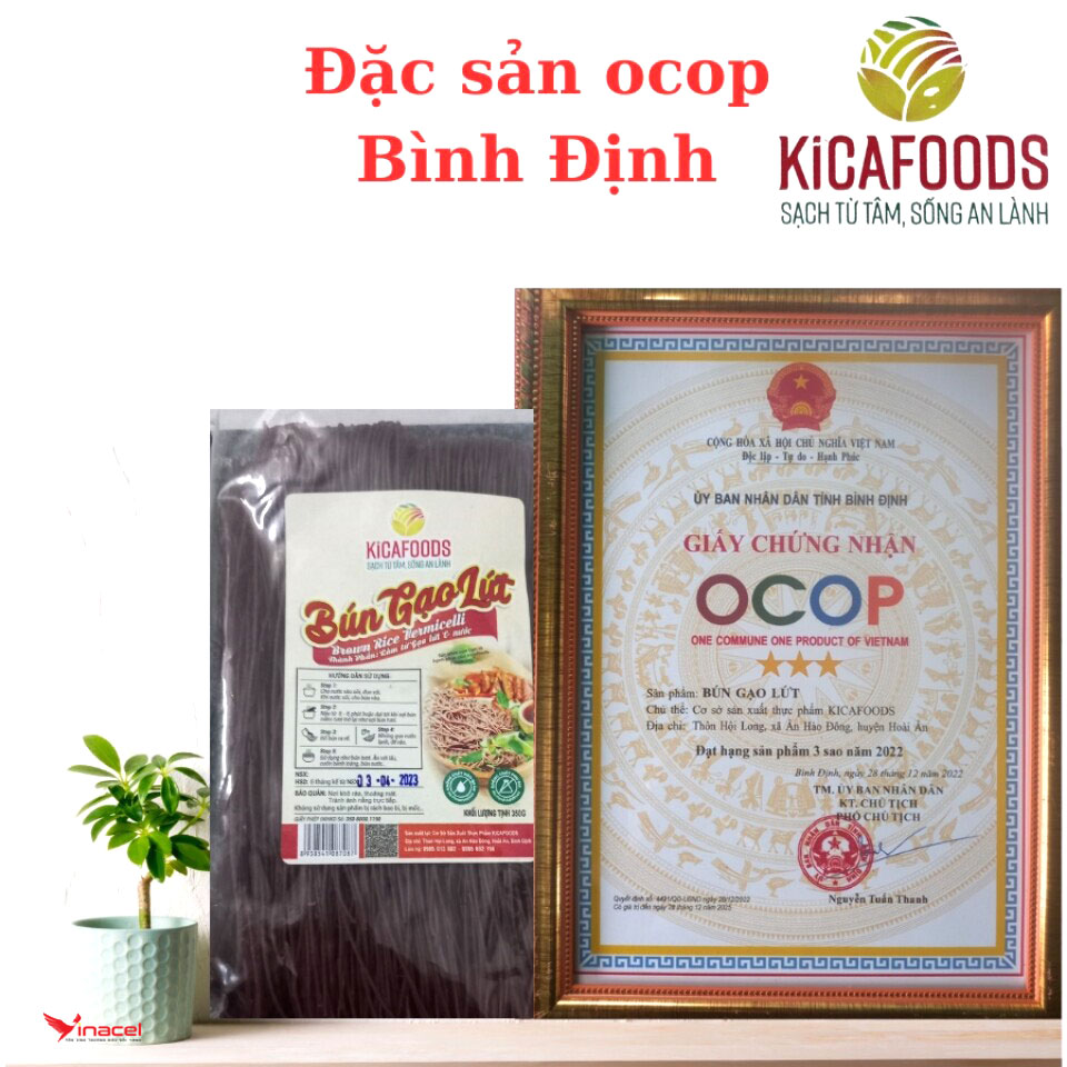 Bún Gạo Lứt Kicafoods Bình Định Có Tốt Không? Mua Ở Đâu Chất Lượng?