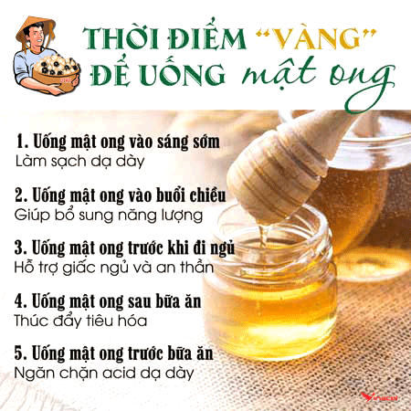 Mật Ong Rừng Tràm OLVIS Có Tốt Không? Mua Ở Đâu Uy Tín?