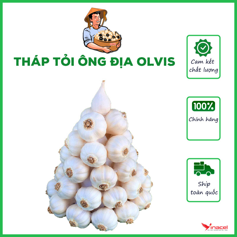 Tháp Ông Địa OLVIS Tài Lộc Từ Tỏi Lý Sơn  - OCOP 3 Sao Quảng Ngãi