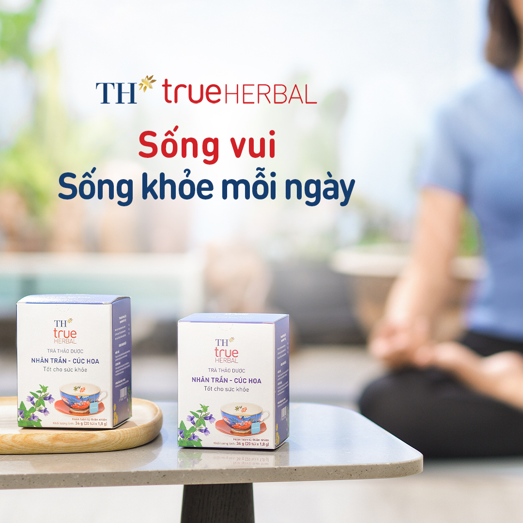 Trà Thảo Dược Nhân Trần – Cúc Hoa TH True Herbal Có Tốt Không? Mua Ở Đâu Đúng Giá?