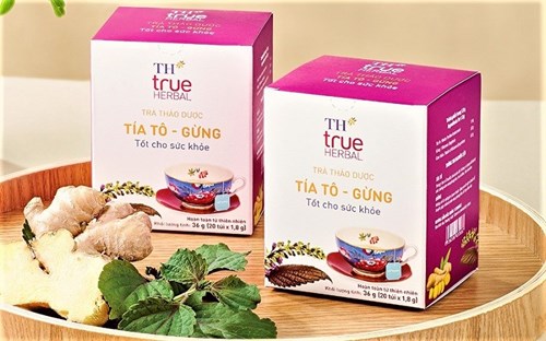 Trà Tía tô – Gừng TH True Herbal Tốt Không? Mua Đâu Chính Hãng, Chất Lượng?