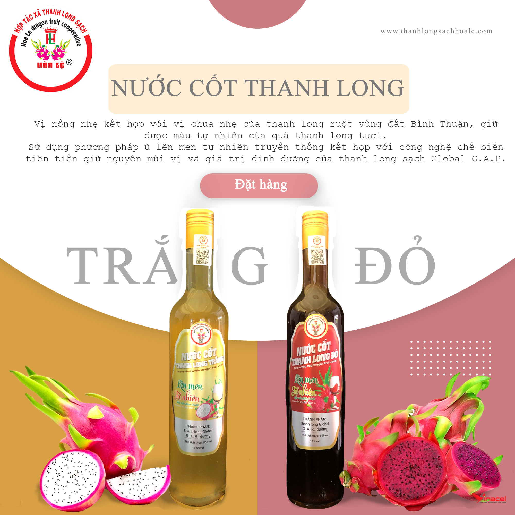 Nước Cốt Thanh Long Đỏ Lên Men Tự Nhiên Hoa Lệ Giá Sỉ