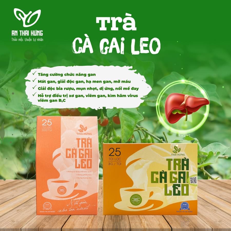 Trà Cà Gai Leo Thái Hưng - SP OCOP Tỉnh Thái Bình