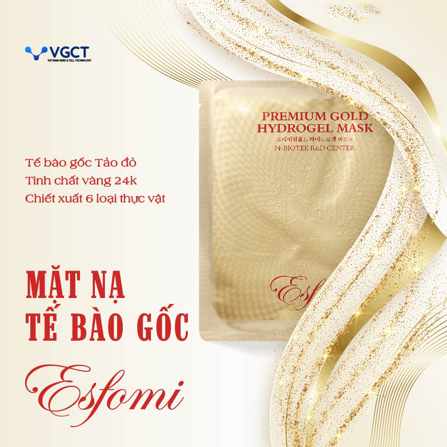 Mặt Nạ Dưỡng Da Tế Bào Gốc Tinh Chất Vàng K Esfomi Premium Gold Hydrogel Mask VGCT Mua Ở Đâu? Giá Bao Nhiêu? Tốt Không?