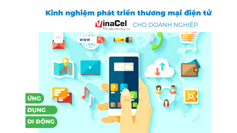 Vinacel Chia Sẻ Kinh Nghiệm Phát Triển Thương Mại Điện Tử Doanh Nghiệp