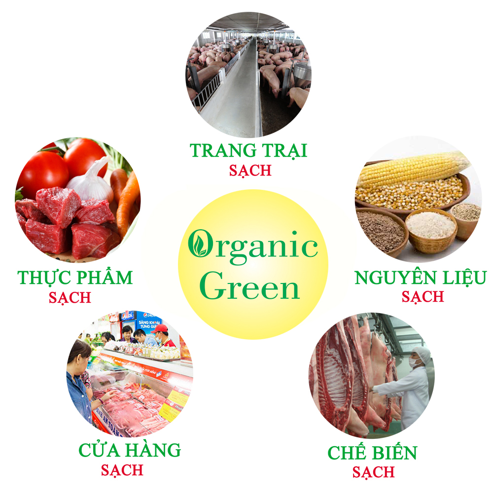 Công Ty TNHH Thực Phẩm Sạch Organic Green