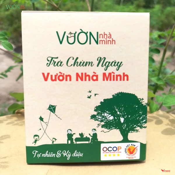 Trà Chùm Ngây Túi Lọc Vườn Nhà Mình – OCOP 4 Sao Long An